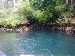 Deep spring but murky when disturbed