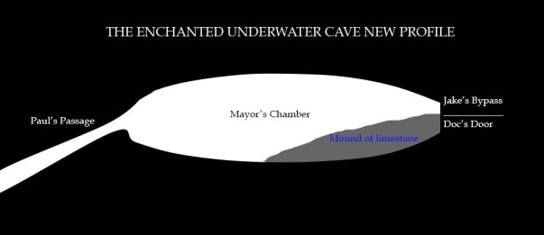 Enchanted New Profile