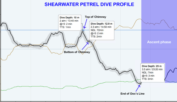 Pamutuanandiveprofile