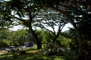 Huge earth moving trucks were observed passing on the river bed where they continue to an undetermined site to collect river gravel and sand for commercial purposes.