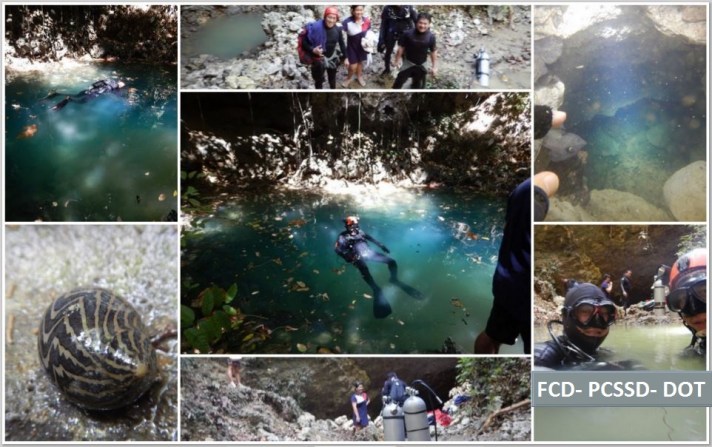 Capture_fcd collage2