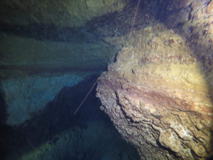 received_10155024984067946